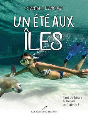 cover image of Un été aux îles